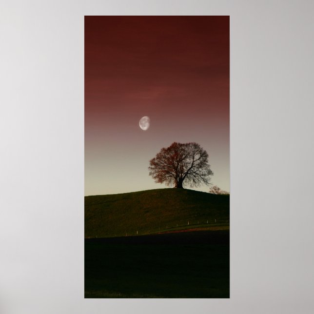 Affiche L'arbre solitaire et la lune pâle (Devant)