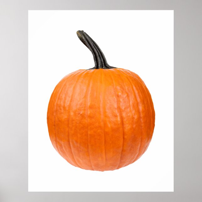 Affiche Large Pumkin (Devant)