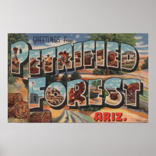 Affiche L'Arizona - forêt Petrified - grande lettre