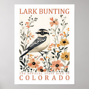 Affiche Lark Bunting Bird of Colorado USA Travel