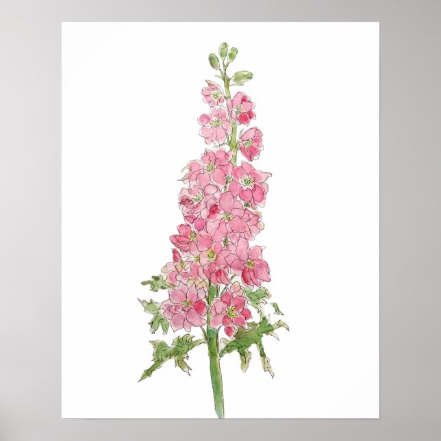 Affiche larkspire rose fleurs aquarelle et encre (Devant)