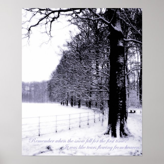 Affiche Larmes congelées (Devant)