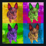 Affiche L'art de la pop de chien de bétail australien<br><div class="desc">Australian Cattle Dog Pop Art. Style coloré et dynamique,  pour de vrais amoureux de les chiens.</div>