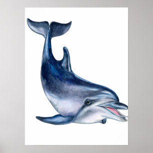 Affiche L'art des dauphins