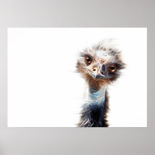 Affiche L'Art Emu Lumineux