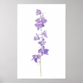 Affiche larve pourpre fleurs aquarelle