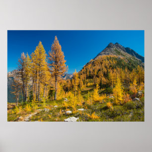 Affiche Larves d'automne à Easy Pass
