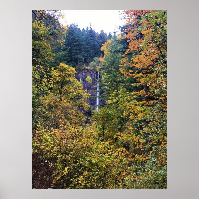 Affiche Latourell Falls, Columbia River Gorge, Oregon (Devant)