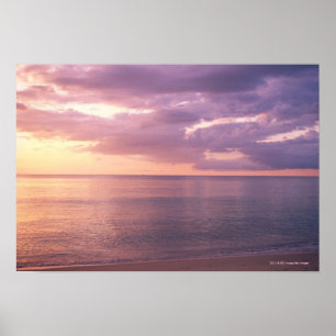 Affiche L'aube rencontre la plage