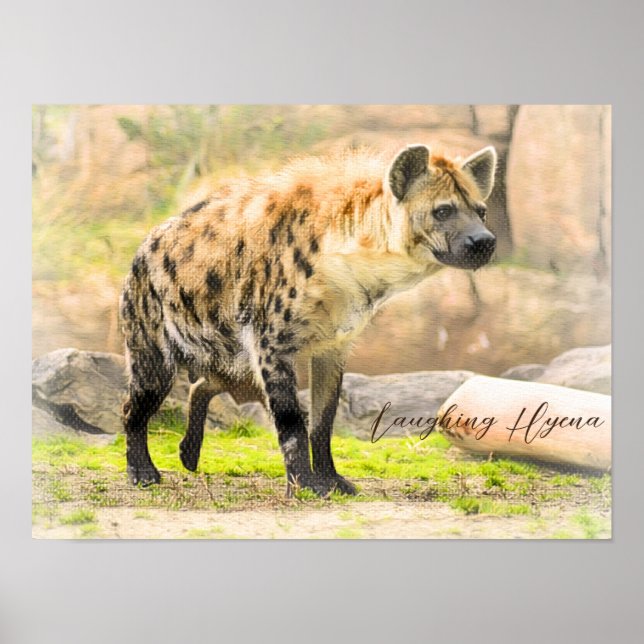 Affiche Laughing Hyena (Devant)