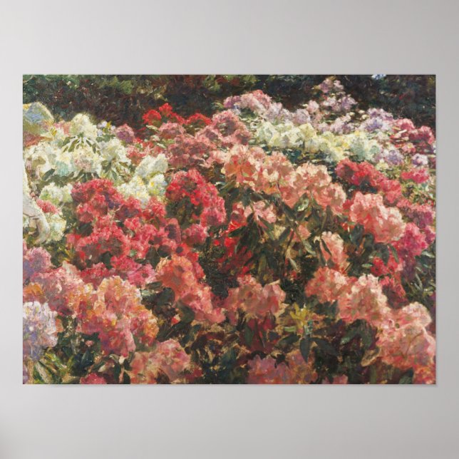Affiche Laurits Tuxen - Rhododendron Dans le jardin de Tux (Devant)