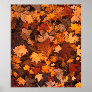 Affiche l'automne