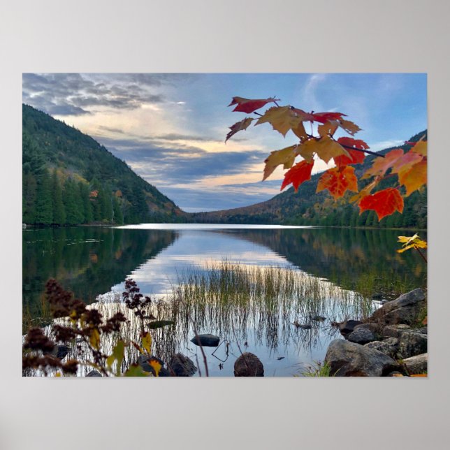 Affiche L'automne à Bubble Pond à Acadia (Devant)
