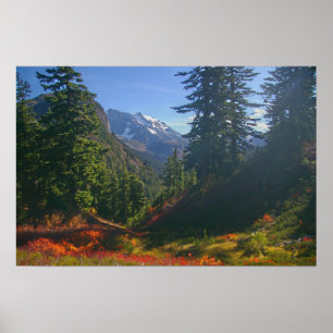 Affiche L'automne au Mont Shuksan