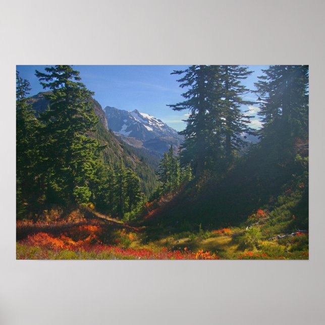 Affiche L'automne au Mont Shuksan (Devant)