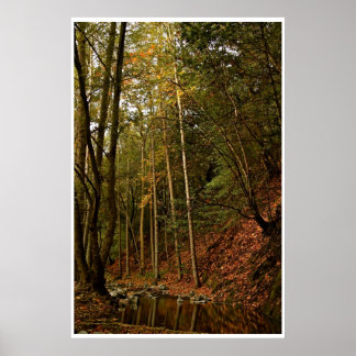 AFFICHE L'AUTOMNE DANS LA FORÊT AVEC DES ARBRES ET DES REF