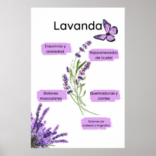 Affiche Lavanda y sus effective os en español
