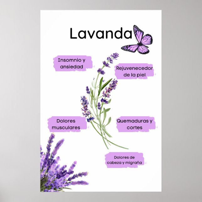 Affiche Lavanda y sus effective os en español (Devant)