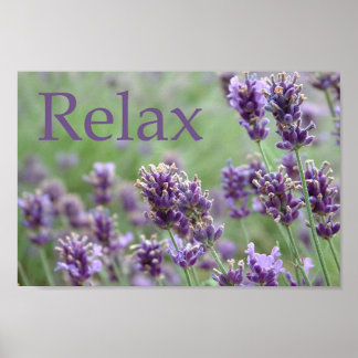Affiche Lavande