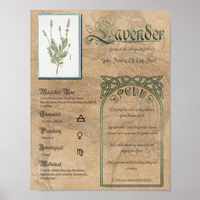 Affiche Lavande livre de plantes ombres Pagan Wiccan (Devant)