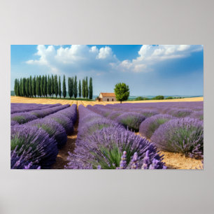 Affiche Lavande Nature Extérieur Paysage Calme Paisible