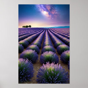 Affiche Lavande Nature Extérieur Paysage Calme Paisible