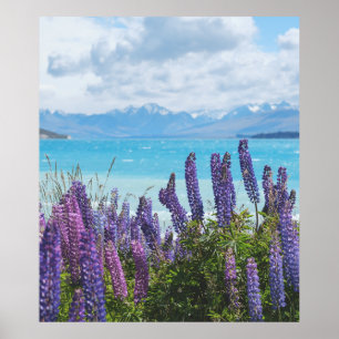 Affiche lavande sur le lac