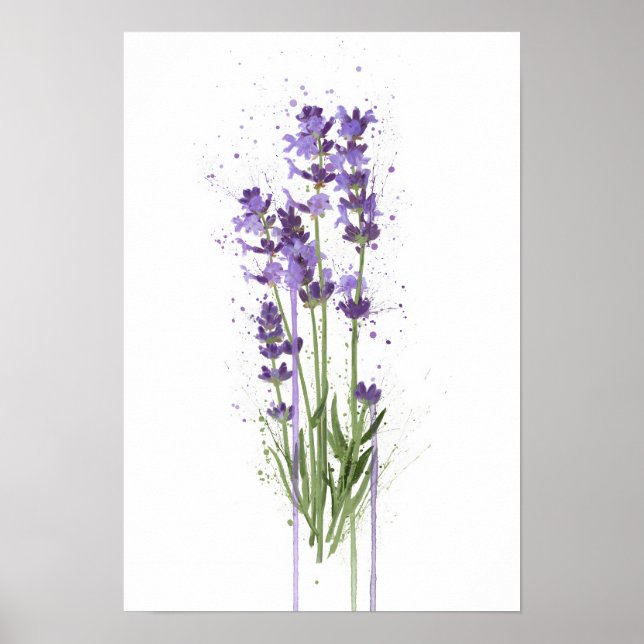 Affiche Lavender (Devant)