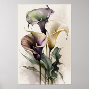Affiche Lavender Calla Lilies Lily Flower Art Imprimer Pos