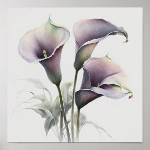 Affiche Lavender Calla Lilies Lily Flower Art Imprimer Pos