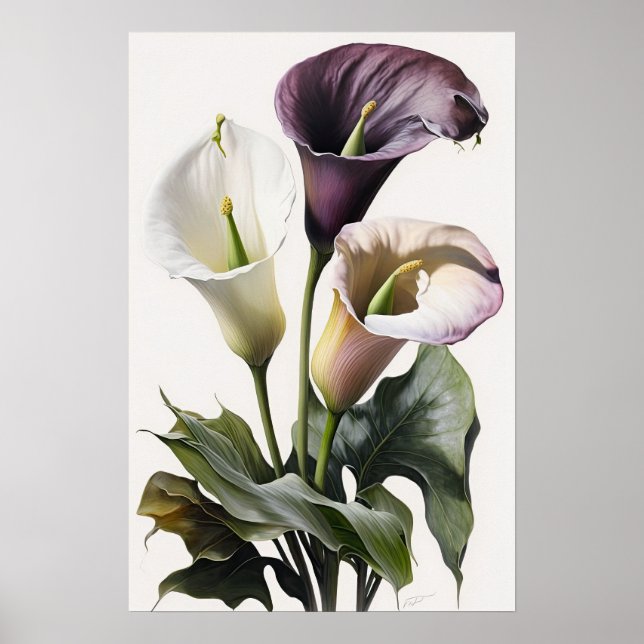 Affiche Lavender Calla Lilies Lily Flower Art Imprimer Pos (Devant)
