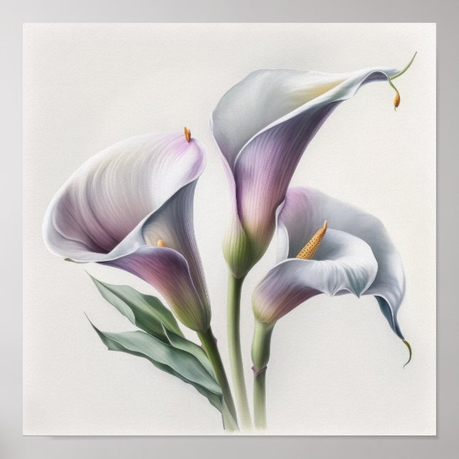 Affiche Lavender Calla Lilies Lily Flower Art Imprimer Pos (Devant)