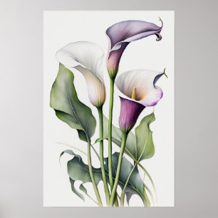 Affiche Lavender Calla Lilies Lily Flower Art Imprimer Pos