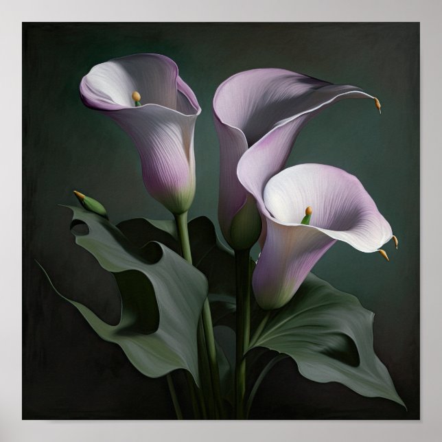Affiche Lavender Calla Lilies Lily Flower Art Imprimer Pos (Devant)