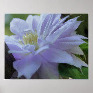 Affiche Lavender Clematis Art Fleur Peinture Photo