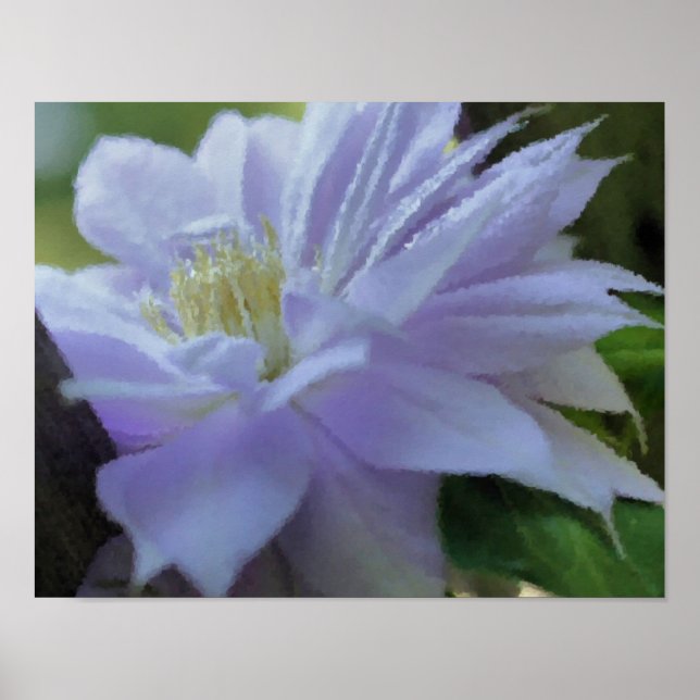 Affiche Lavender Clematis Art Fleur Peinture Photo (Devant)