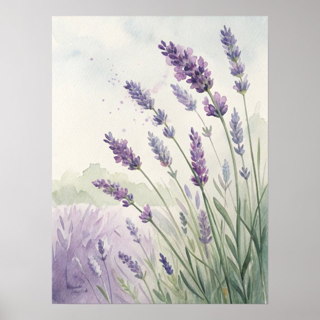 Affiche Lavender Field Wall Art | Purple Lavender Flowers. (Devant)