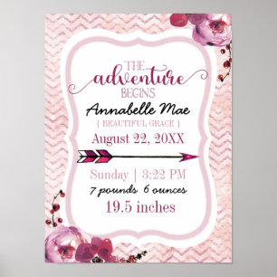 Affiche L'aventure commence bébé fille naissance Statistiq