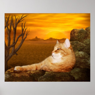 Affiche Lazing cat