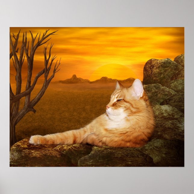 Affiche Lazing cat (Devant)