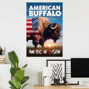 Affiche Le bison américain se tient dans un champ