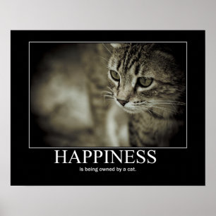 Affiche Le bonheur est possédé par un chat