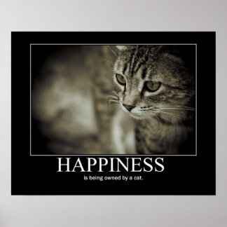 Affiche Le bonheur est possédé par un chat