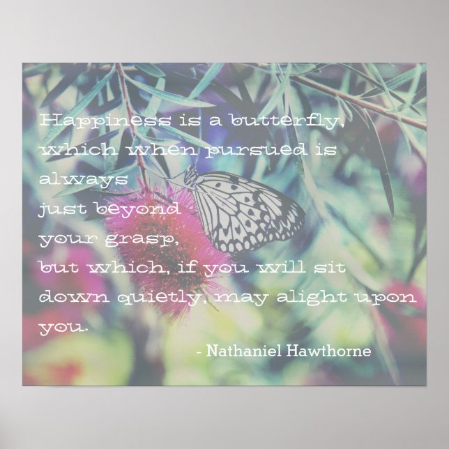 Affiche Le bonheur est un papillon - Citation inspirante (Devant)