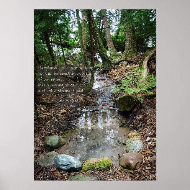 Affiche Le bonheur est une activité (Devant)