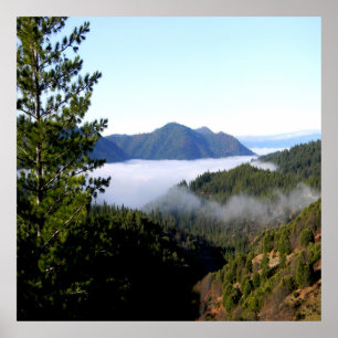 Affiche Le brouillard matinal qui fait rage......