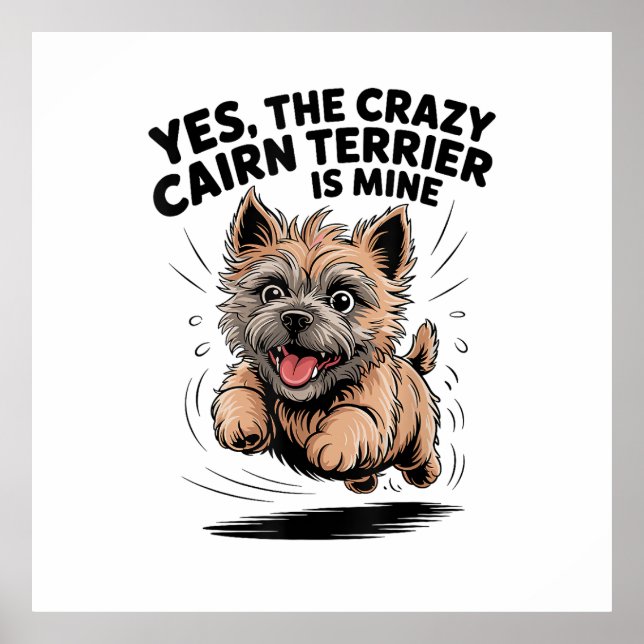 Affiche Le Cairn Terrier fou est à moi (Devant)