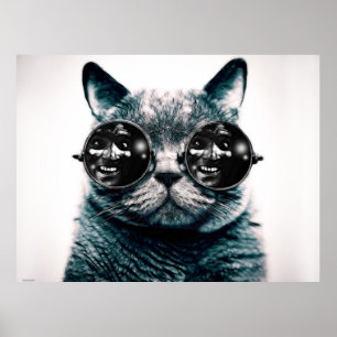 AFFICHE LE CAT