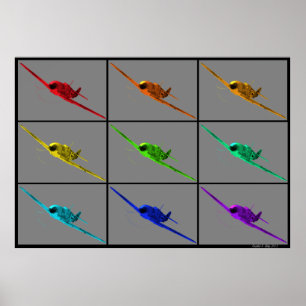 Affiche Le cauchemar de Pokryshkin