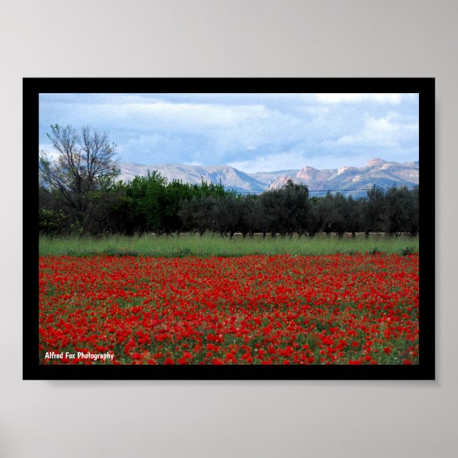 Affiche Le champ de coquelicots (Devant)